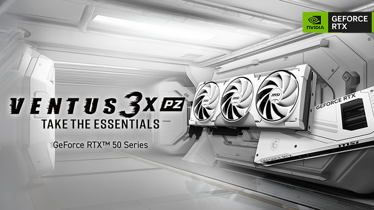 MSI VENTUS 3X PZ